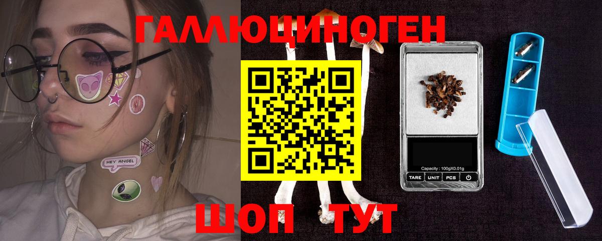 Гатчина  Псилоцибиновые грибы мухоморы  Галлюциногенные грибы Psilocybine cubensis  Вход с VPN 