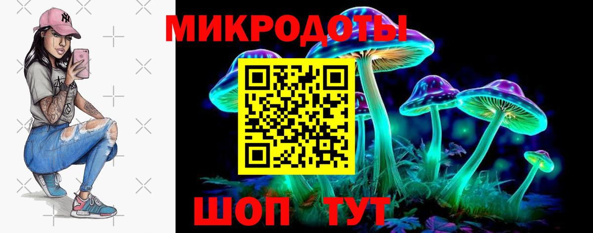 Галлюциногенные грибы мицелий Гатчина